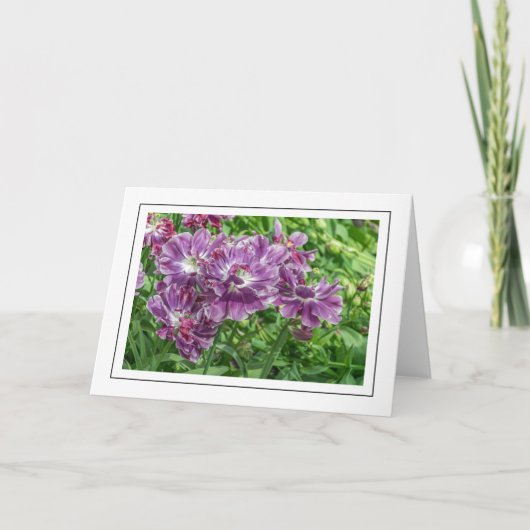 Hellviolette Blumen Grußkarte Karte (Vorderseite)