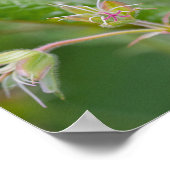 Hellviolette Storchschnabel-Wildblumen-Botanik-Fot Poster (Ecke)