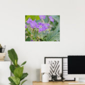 Hellviolette Storchschnabel-Wildblumen-Botanik-Fot Poster (Heimbüro)
