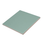 Hellweiches Pastell-Hell-Sage-Teal-Grün Farbe Fliese (Seite)