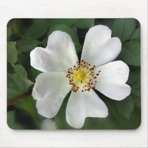 hellweiße Blume Mousepad