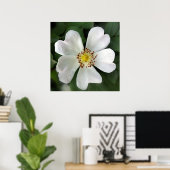 hellweiße Blume Poster (Heimbüro)