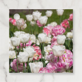 Hellweiße und rosa Tulpen an einem sonnigen Tag Geschenkanhänger