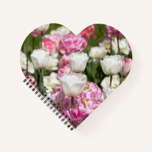 Hellweiße und rosa Tulpen an einem sonnigen Tag Notizblock