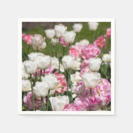 Hellweiße und rosa Tulpen an einem sonnigen Tag Serviette