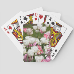 Hellweiße und rosa Tulpen an einem sonnigen Tag Spielkarten