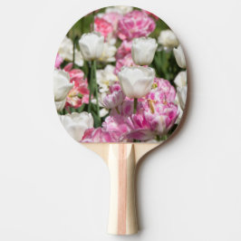 Hellweiße und rosa Tulpen an einem sonnigen Tag Tischtennis Schläger