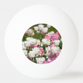 Hellweiße und rosa Tulpen an einem sonnigen Tag Tischtennisball