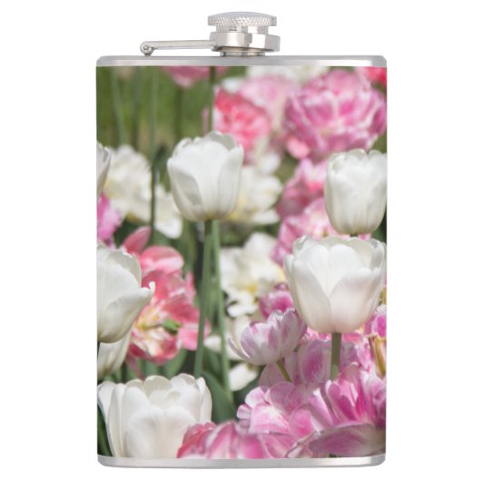 Hellweiße und rosa Tulpen auf sonniger Höhe Flachmann (Vorderseite)