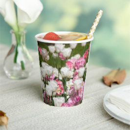 Hellweiße und rosa Tulpen auf sonniger Höhe Pappbecher