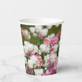 Hellweiße und rosa Tulpen auf sonniger Höhe Pappbecher (Rückseite)