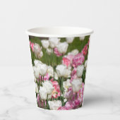 Hellweiße und rosa Tulpen auf sonniger Höhe Pappbecher (Vorderseite)