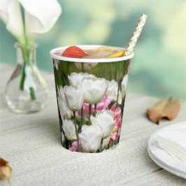 Hellweiße und rosa Tulpen auf sonniger Höhe Pappbecher