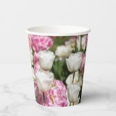 Hellweiße und rosa Tulpen auf sonniger Höhe Pappbecher (Rückseite)
