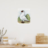 Helm: Rote Taube Poster (Küche)