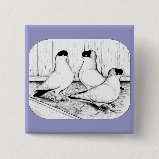 Helmet Pigeon Trio Button (Vorderseite)