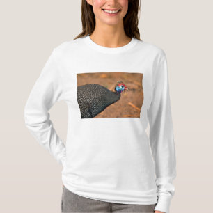 Helmperlhuhn (Numida meleagris). Afrika, T-Shirt