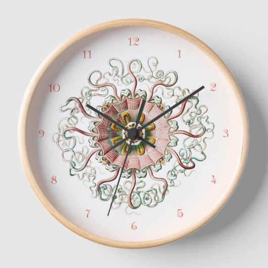 Helmqualle und Korallenziffern Wall Clock Uhr (Vorderseite)