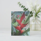 Heloconia Postkarte (Stehend Vorderseite)