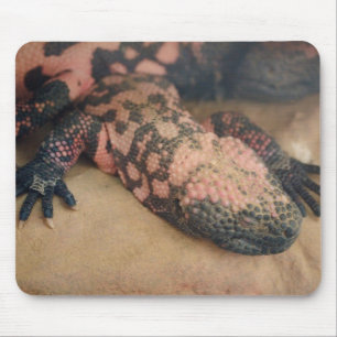 Heloderma suspectum mousepad