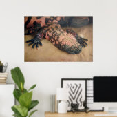 Heloderma suspectum poster (Heimbüro)