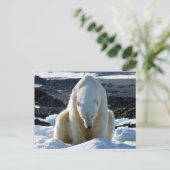 Help, my World is melting! Postkarte (Stehend Vorderseite)
