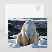 Help, my World is melting! Postkarte (Vorne/Hinten)