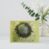 Helping the dandelions CC0489 Postcard Postkarte (Stehend Vorderseite)