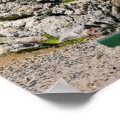 Hemanus Rocks, Western Cape Poster (Ecke)