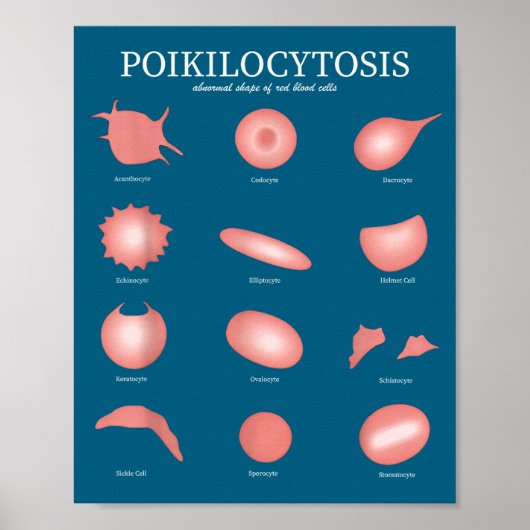 Hematology Red Blood Cell Laboratory Science Hemat Poster (Vorne)