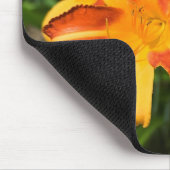 Hemerocallis fulva mousepad (Ecke)