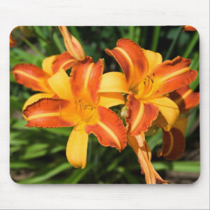 Hemerocallis fulva mousepad