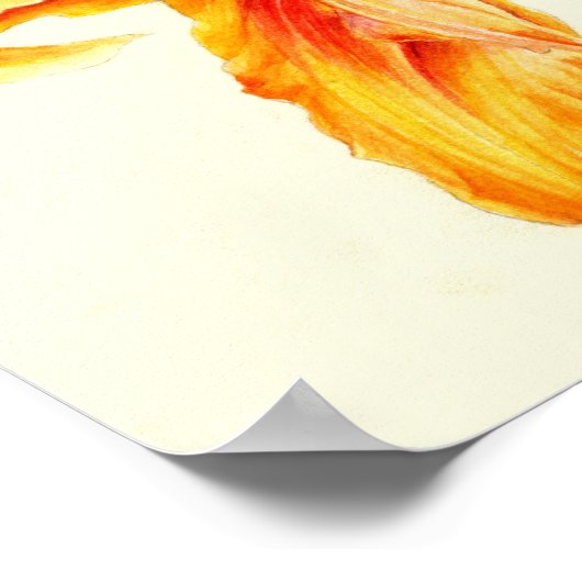 Hemerocallis-Taglilie Poster (Ecke)