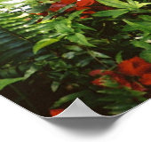 Hemingway cat 1 Fountain Drinking - Poster & Print (Ecke)