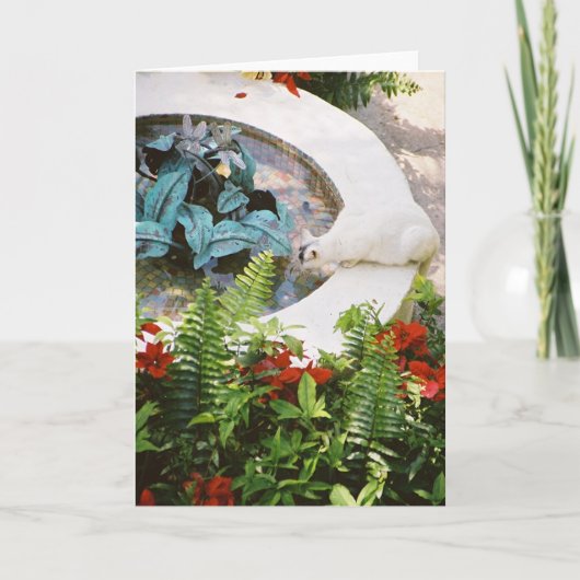 Hemingway Cat 1- Greeting & Note Cards Karte (Vorderseite)