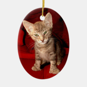 Hemingway-Katze Keramikornament