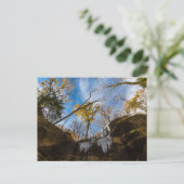Hemlock Cliffs, Herbst, Indiana Postkarte (Stehend Vorderseite)