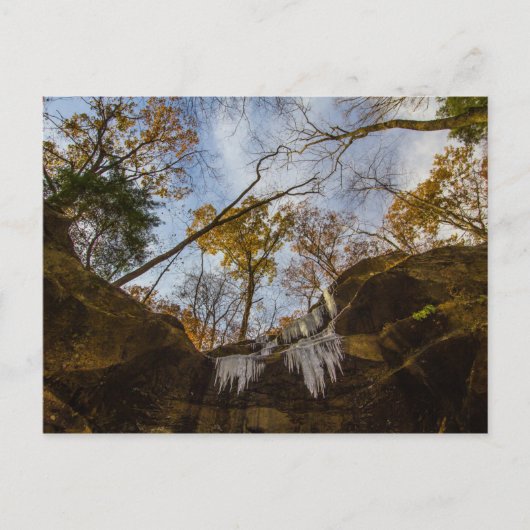 Hemlock Cliffs, Indiana im Herbst Postkarte (Vorderseite)