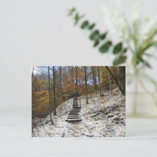 Hemlock Cliffs, Indiana Postkarte (Stehend Vorderseite)