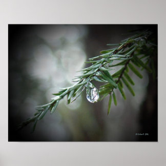 Hemlock Tears Poster