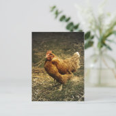 Hen Chicken Bird Farmyard Animal Poulry Postkarte (Stehend Vorderseite)