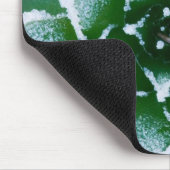Hen & Chicks sukkultiviert mit Frost am Anfang Mousepad (Ecke)
