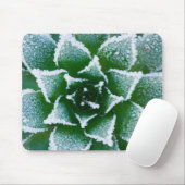 Hen & Chicks sukkultiviert mit Frost am Anfang Mousepad (Mit Mouse)