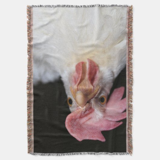 Hen Decke (Vorderseite Vertikal)