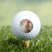 Hen Golfball (Insitu T-Shirt)