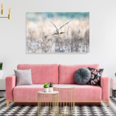 HEN harrier Leinwanddruck (Insitu (Wohnzimmer))