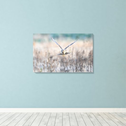 HEN harrier Leinwanddruck (Insitu (Holzboden))