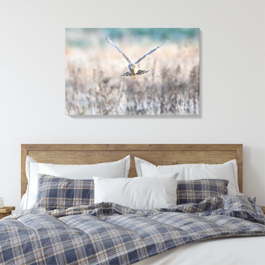 HEN harrier Leinwanddruck (Insitu (Schlafzimmer))