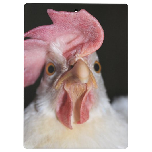 Hen Klemmbrett (Rückseite)