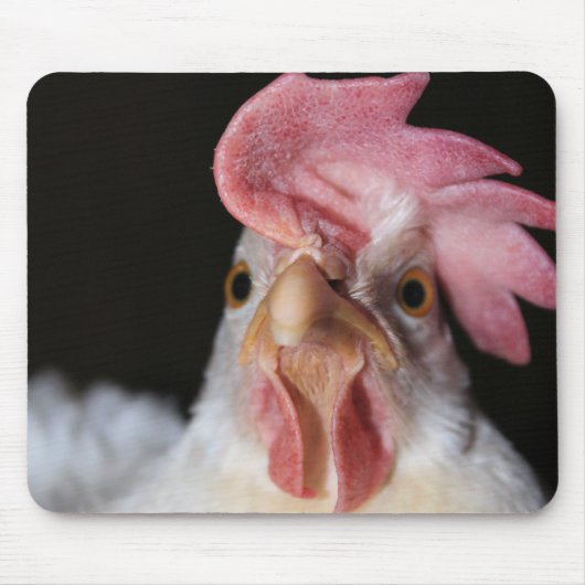 Hen Mousepad (Vorne)